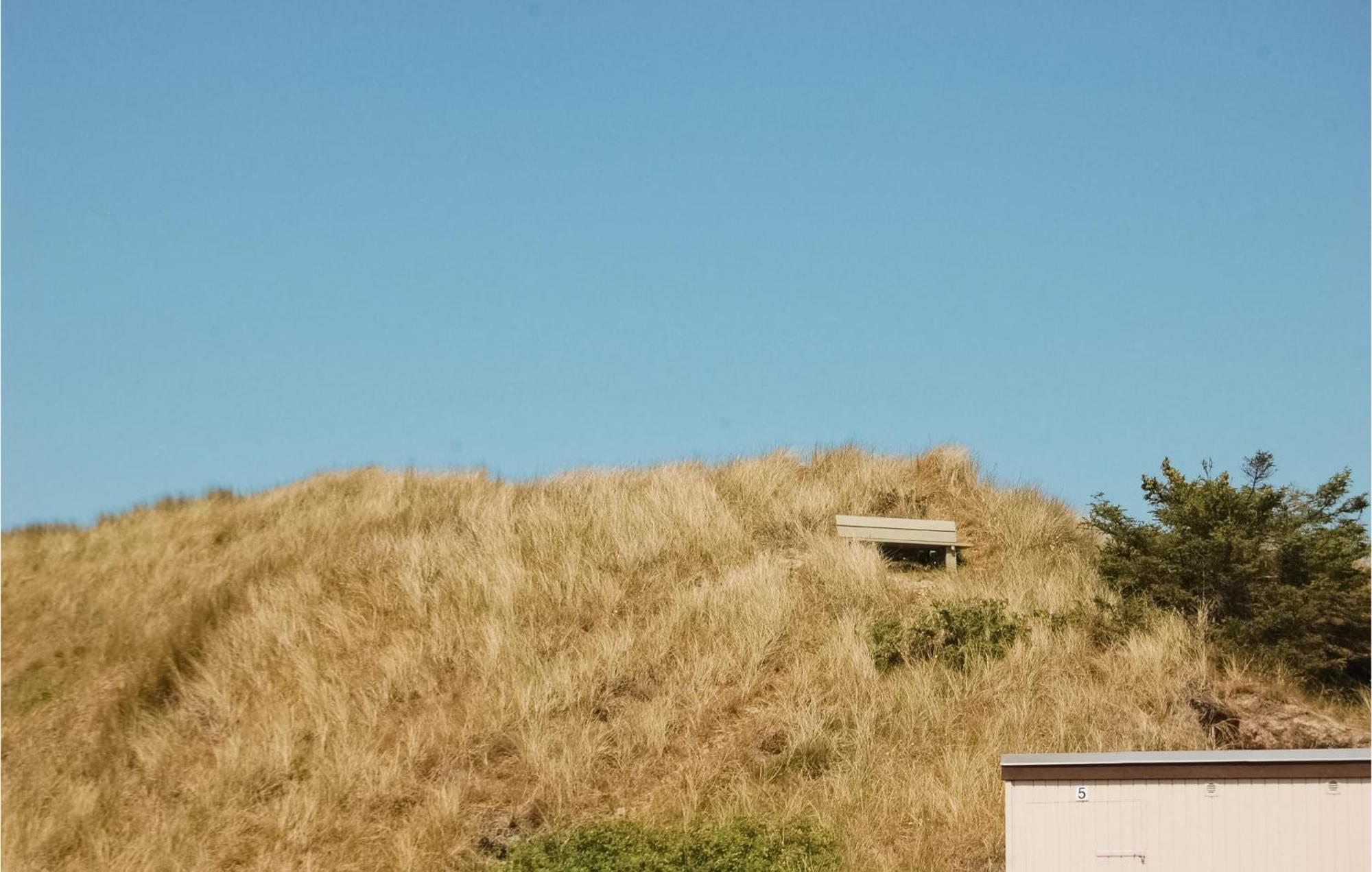 Gorgeous Home In Hvide Sande With Sauna Havrvig エクステリア 写真